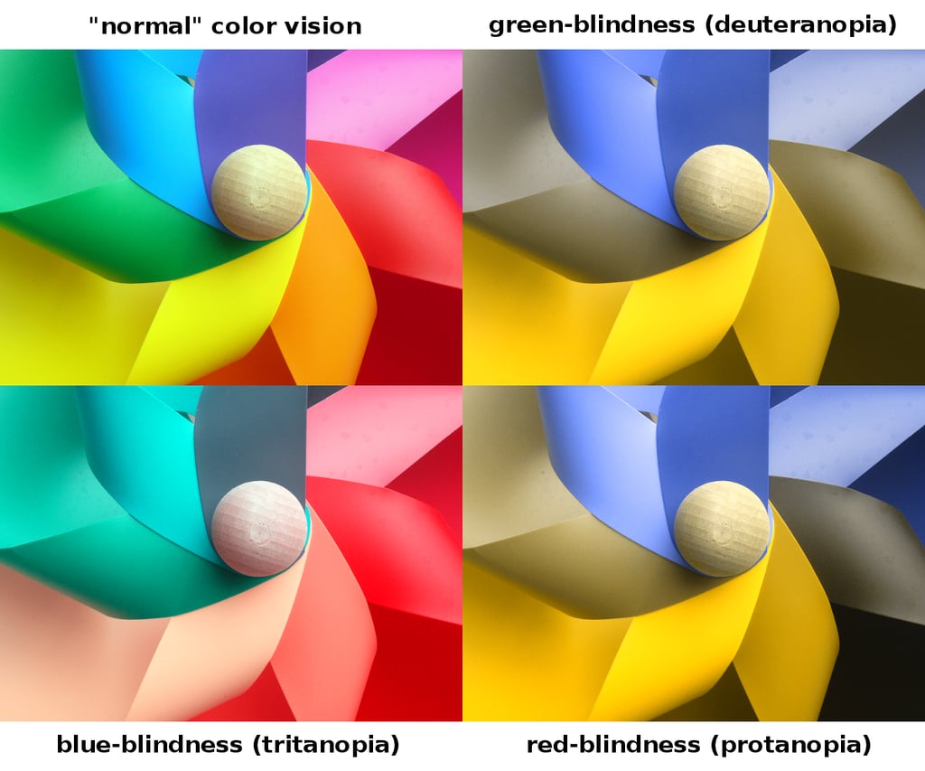 Comparison of what people with different types of color blindness see