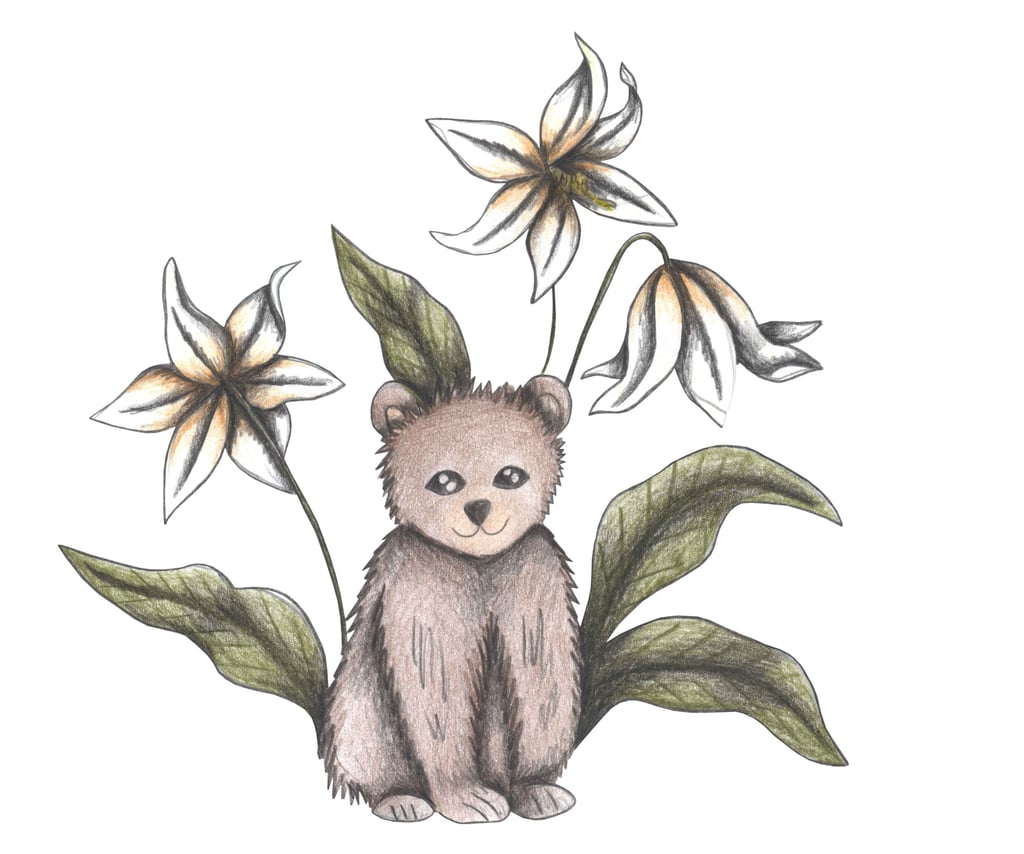 Hand-drawn illustration of a bear surrounded by white flowers