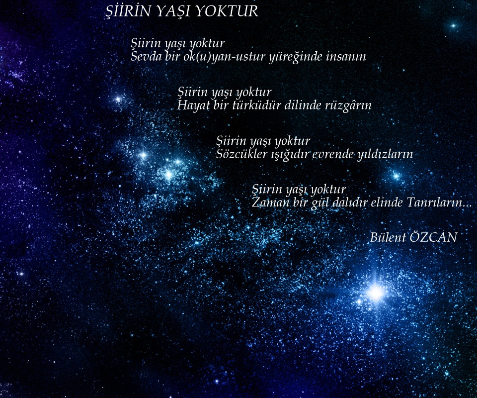 Şiir Sonsuzluğu, Şiir, Bülent Özcan