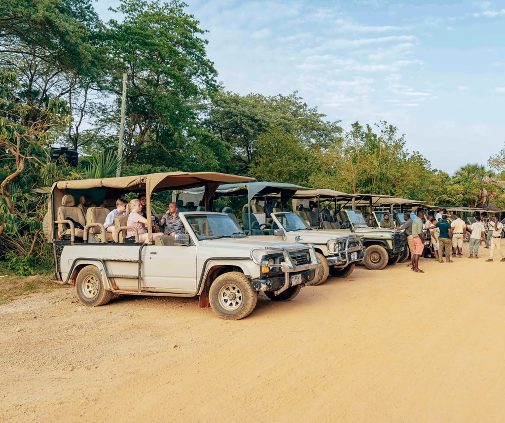 Image of safari trucks to denote tourism AI