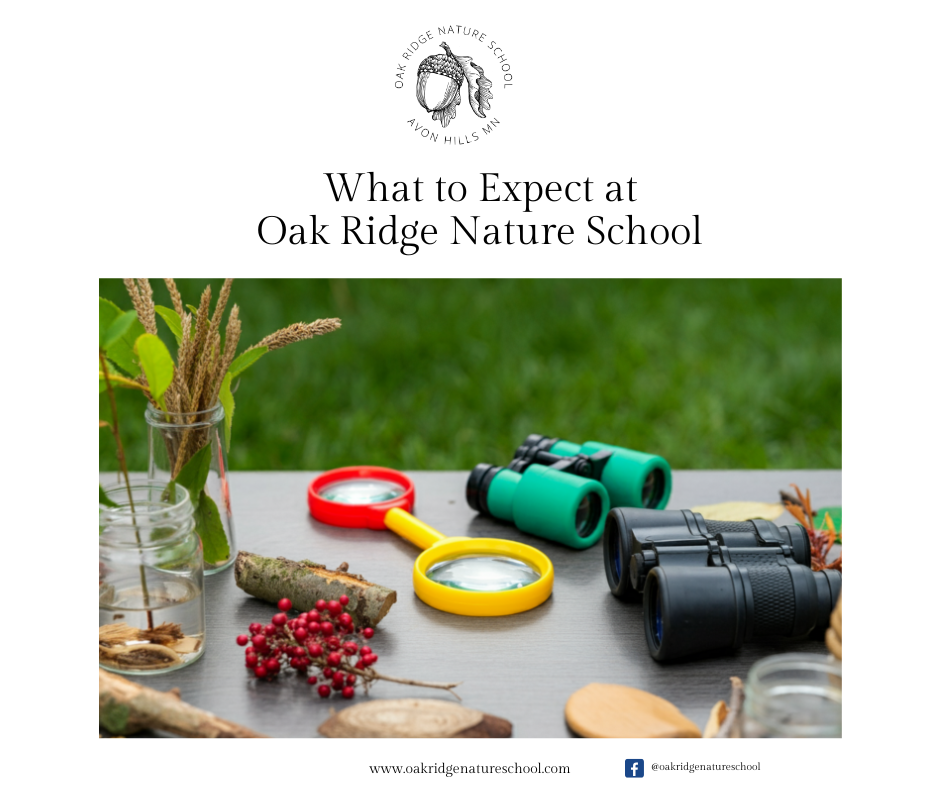What to expect in a private nature school