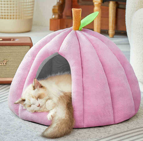 Cat Hut