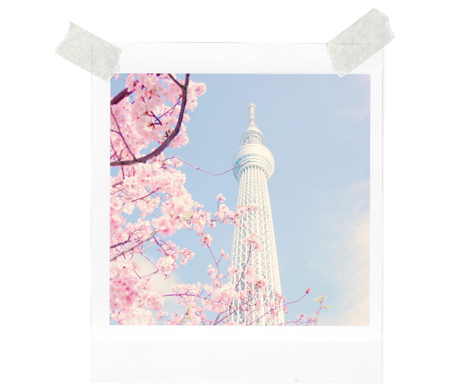 a picture of a picture of a tower with a tower in the background