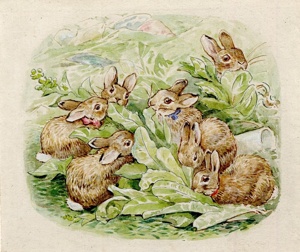 Beatrix Potter - The Tale of the Flopsy Bunnies (page 23), 1909, Frederick Warne & Co.
