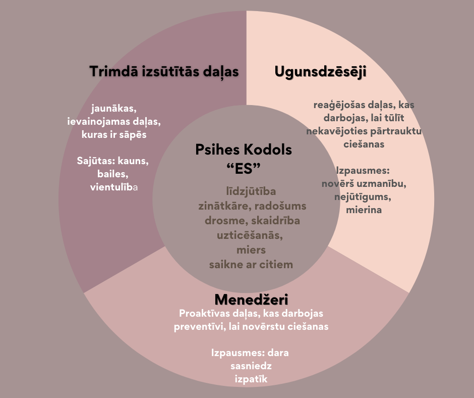 Iekšējo ģimenes sistēmu  psihes daļu modelis