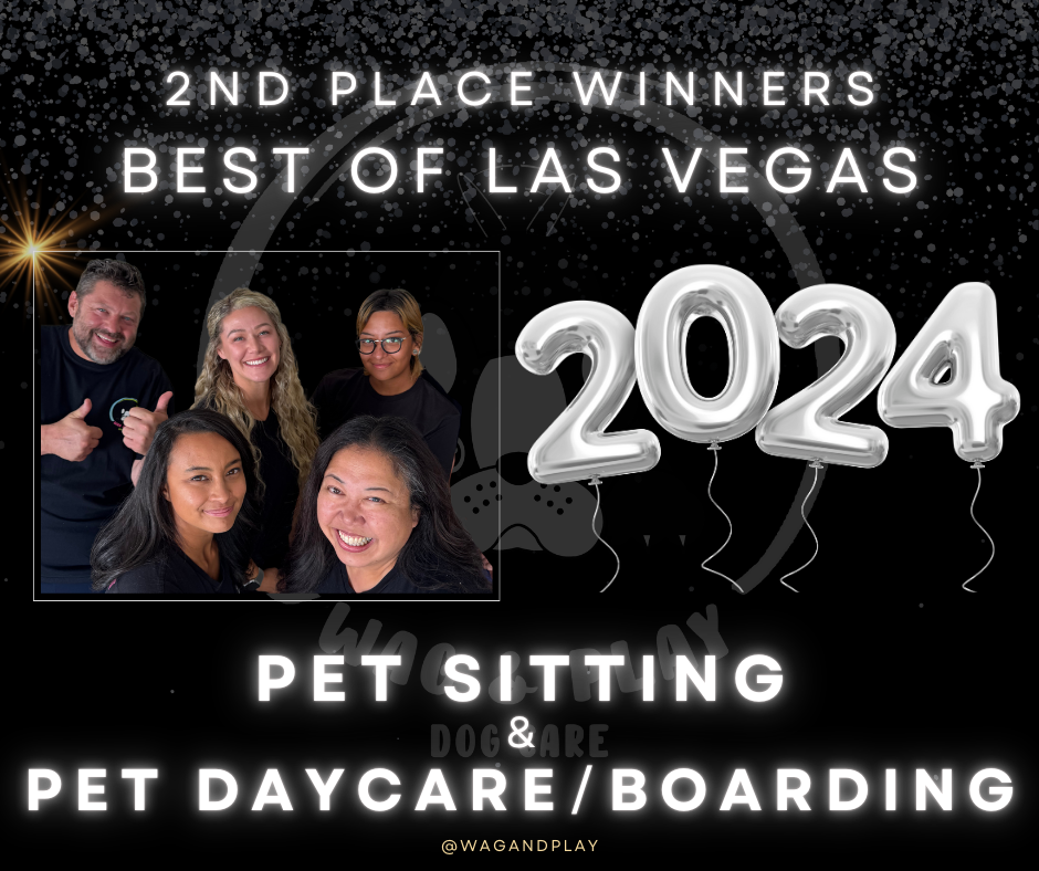 team photo -Voted 2nd place in Best of Las Vegas for Doggy Day Care, & Pet Sitting Services for 2024
