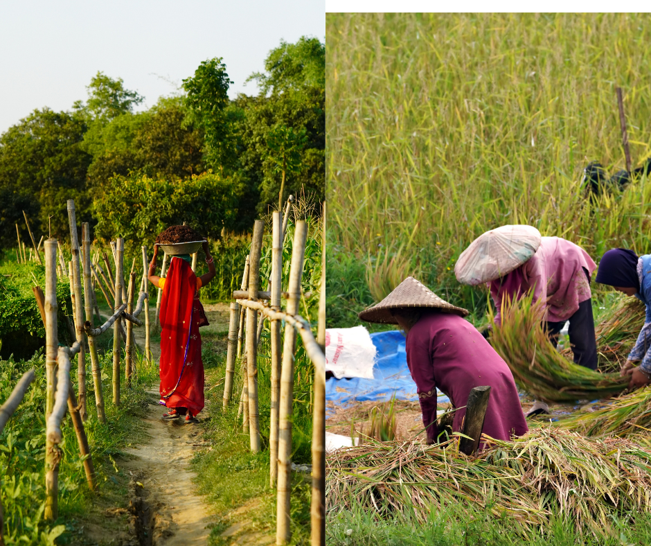 women as a part of agriculture