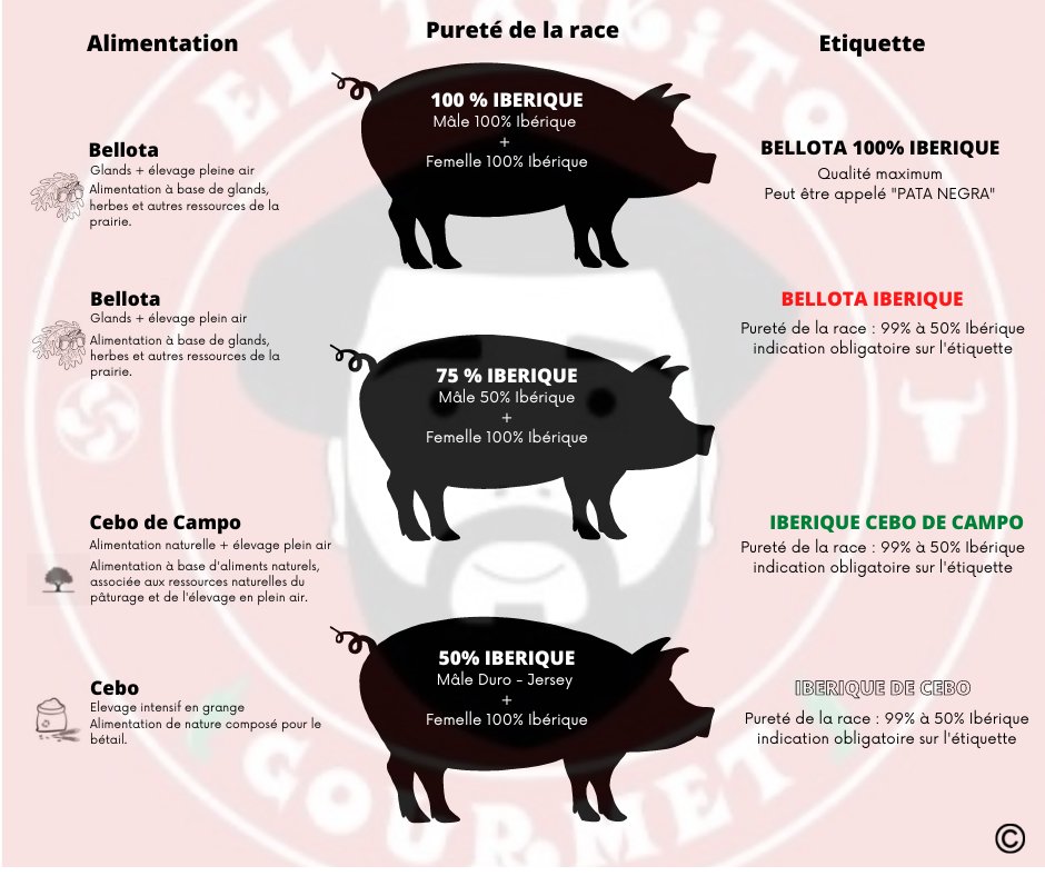 description des races ibériques