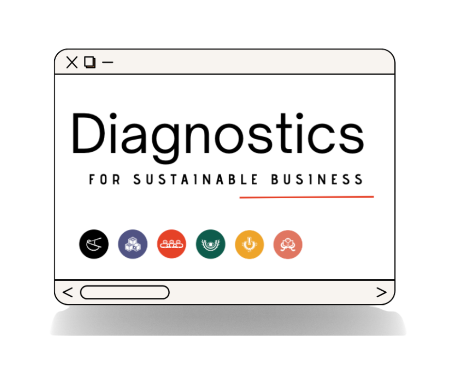 Creadora_Diagnostic_Sustainable_Business
