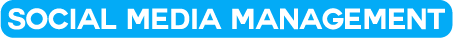 Social media marketing Dubai  professional social media management and content creation services