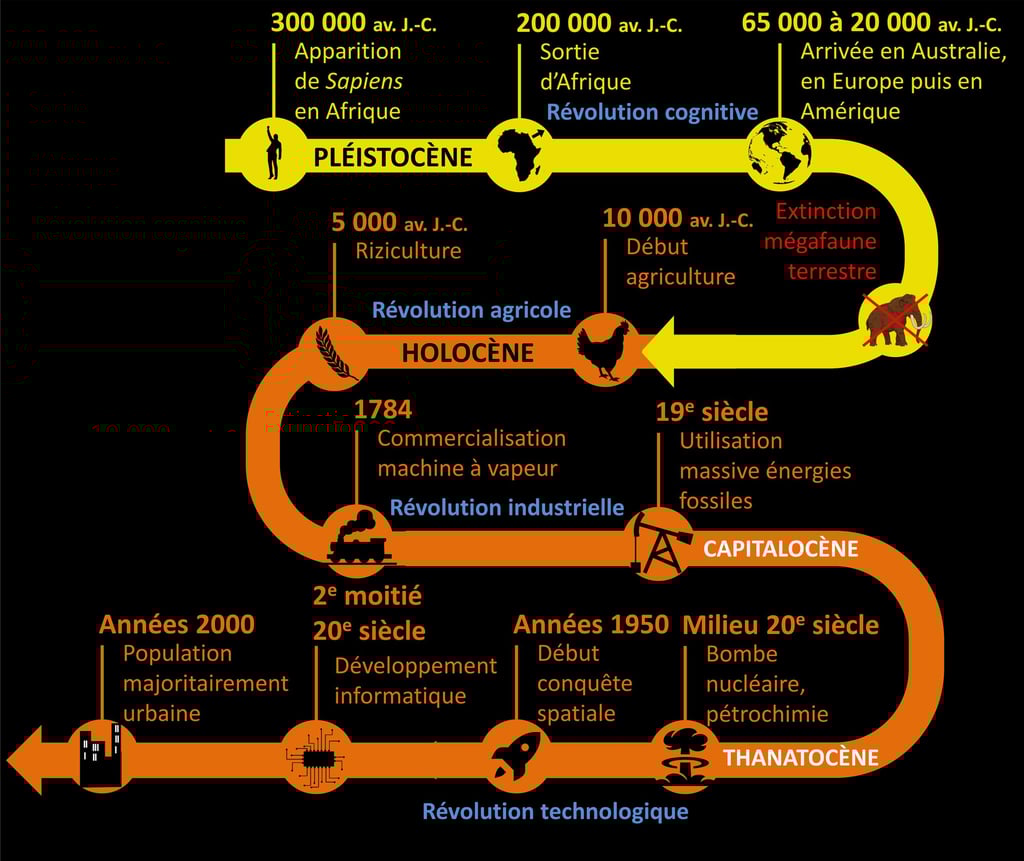Frise chronologique de l'Anthropocène, depuis la naissance d'Homo sapiens à aujourd'hui