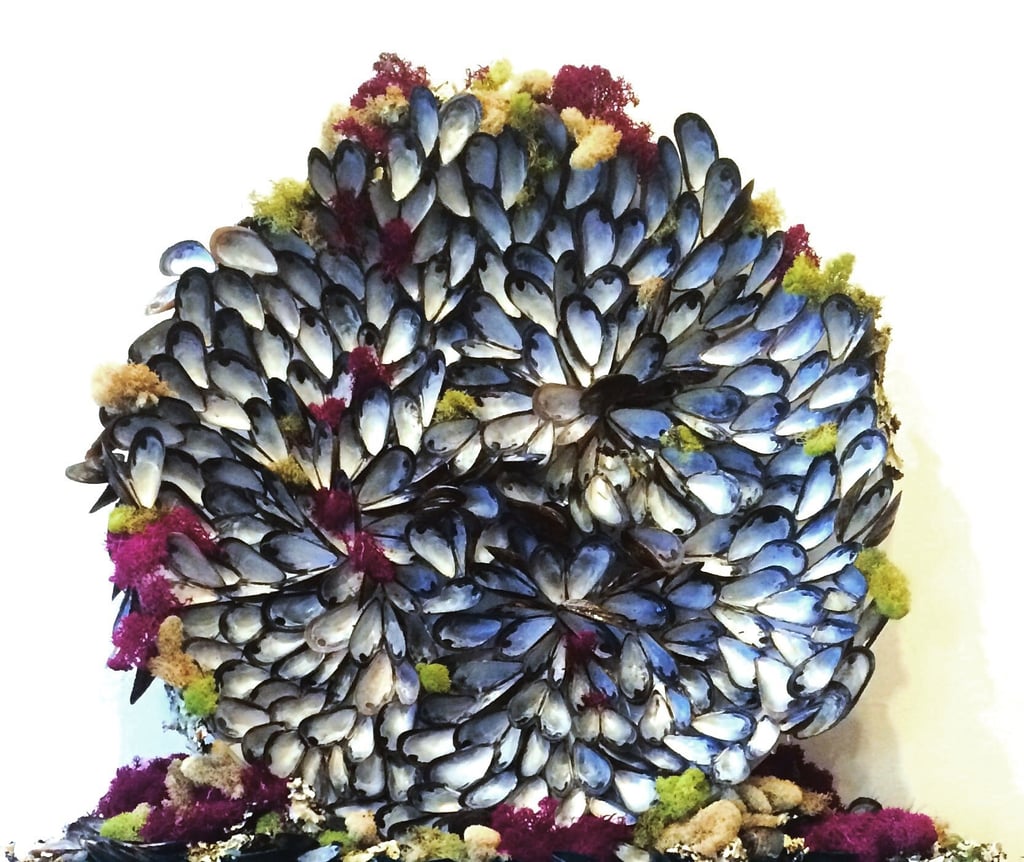 a mandala of mussels and flowers