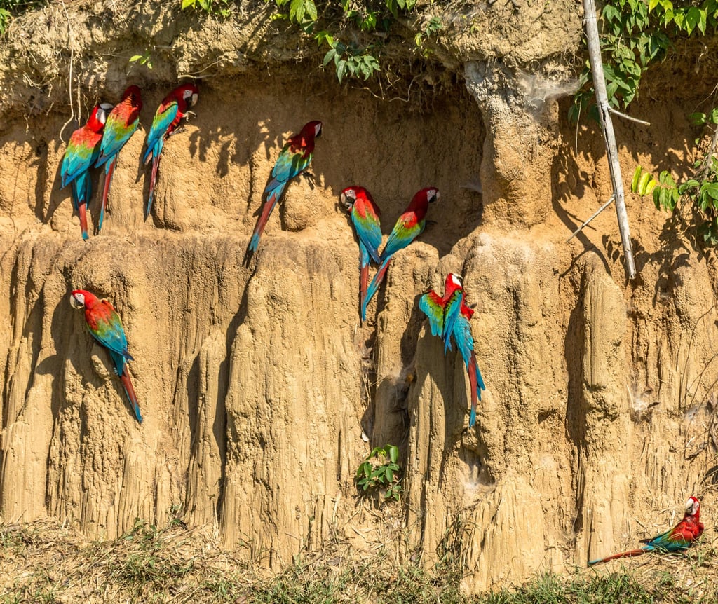 Peru Weather 2026 – Andes Monthly Climate (Highlands & Mountains)