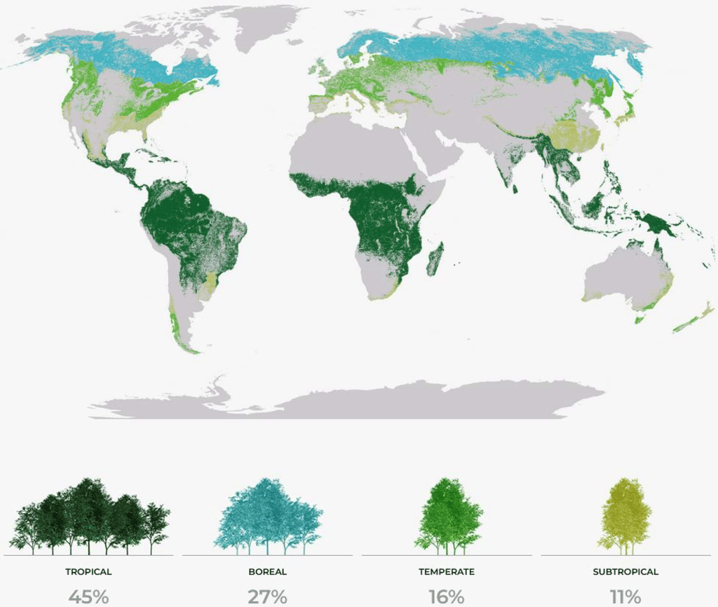 Map of forest biomes around the world