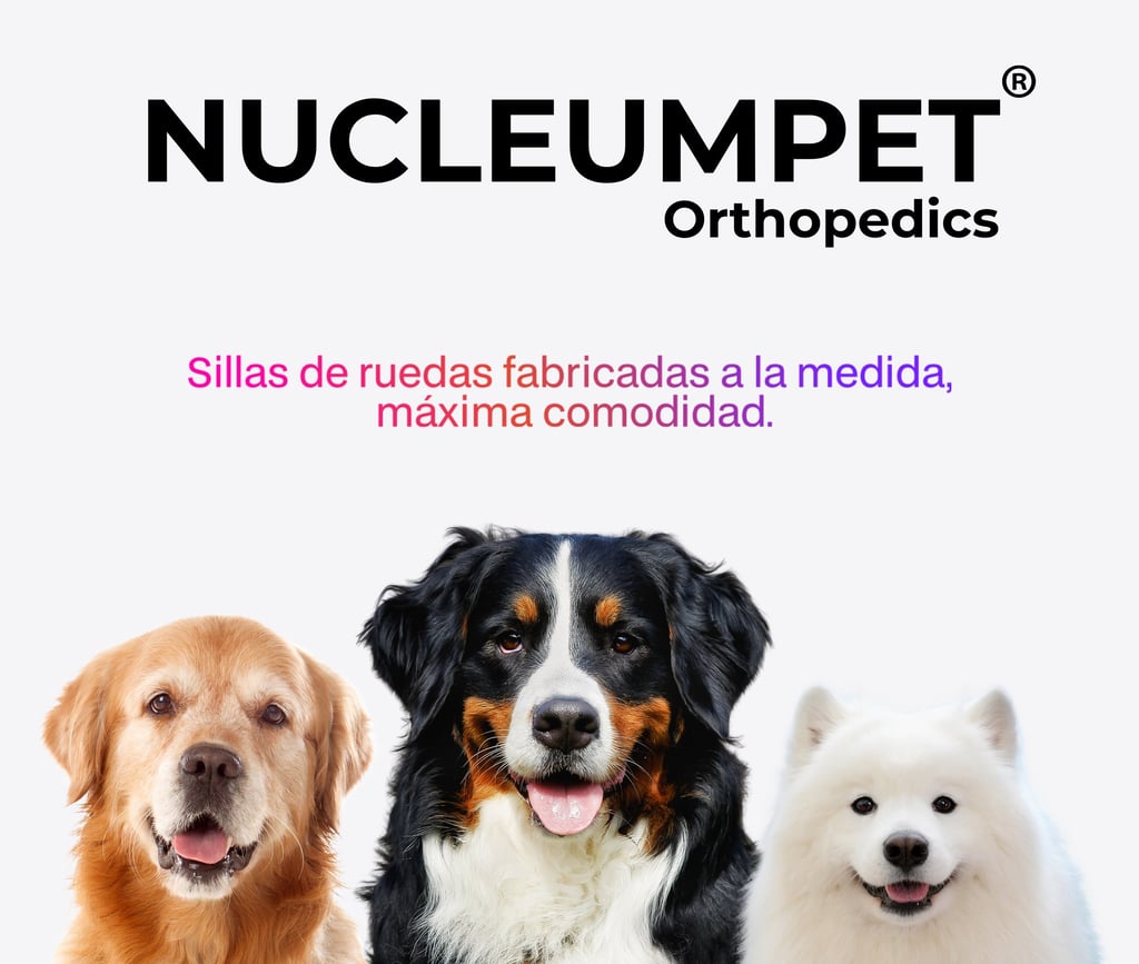 Silla de ruedas para perros fabricada por Nucleumpet en Colombia