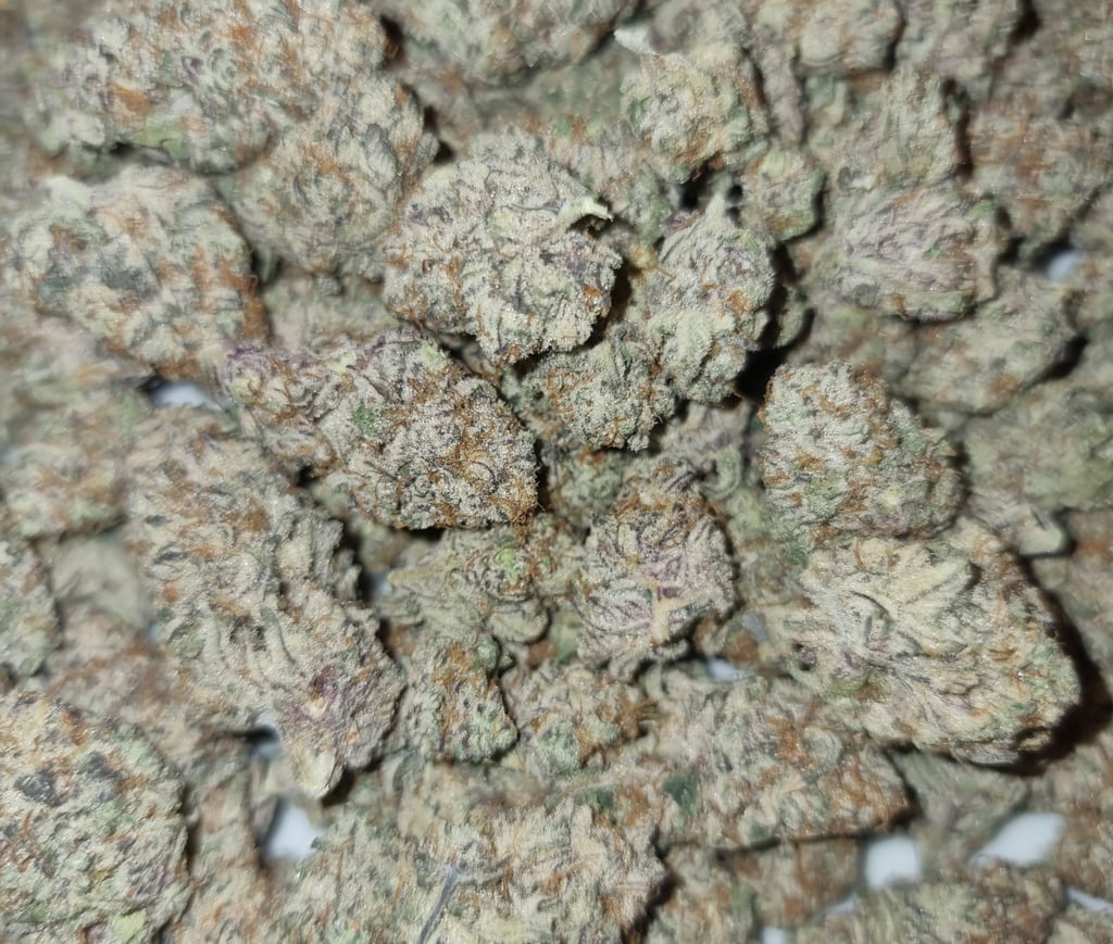 wie du 2025 erstklassiges Cannabis an der Algarve sicher kaufst.