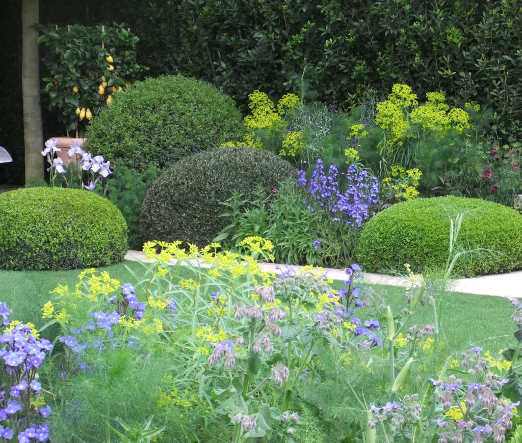 Mooie border met natuurlijke beplanting