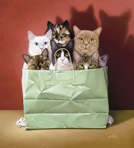 mixed bag of cats
