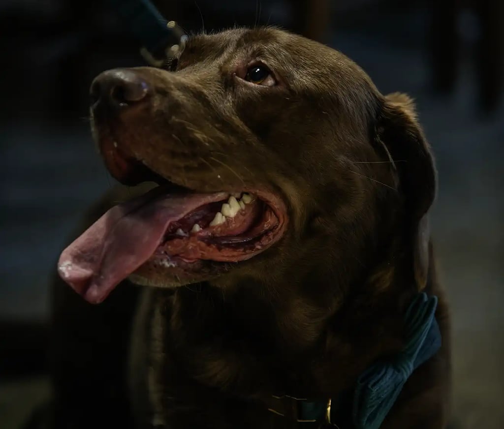 London wedding photographer