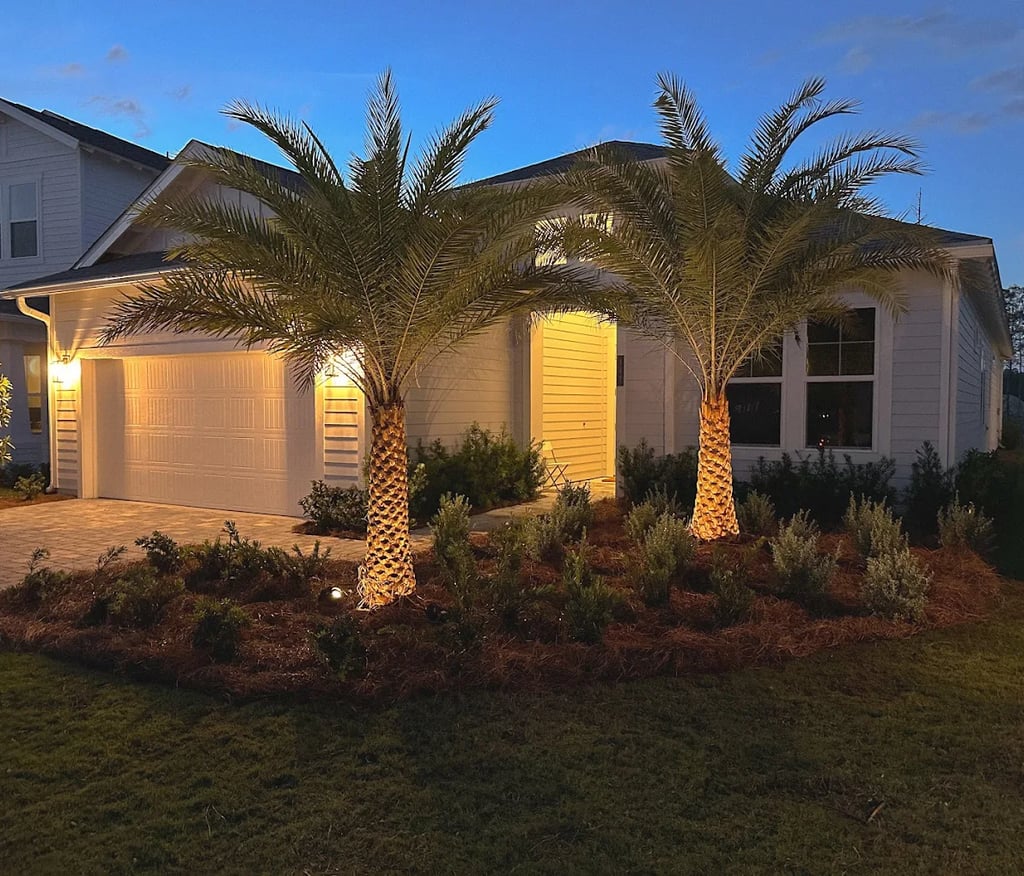 Modern white house with illuminated landscape lighting and tropical palm trees at night.