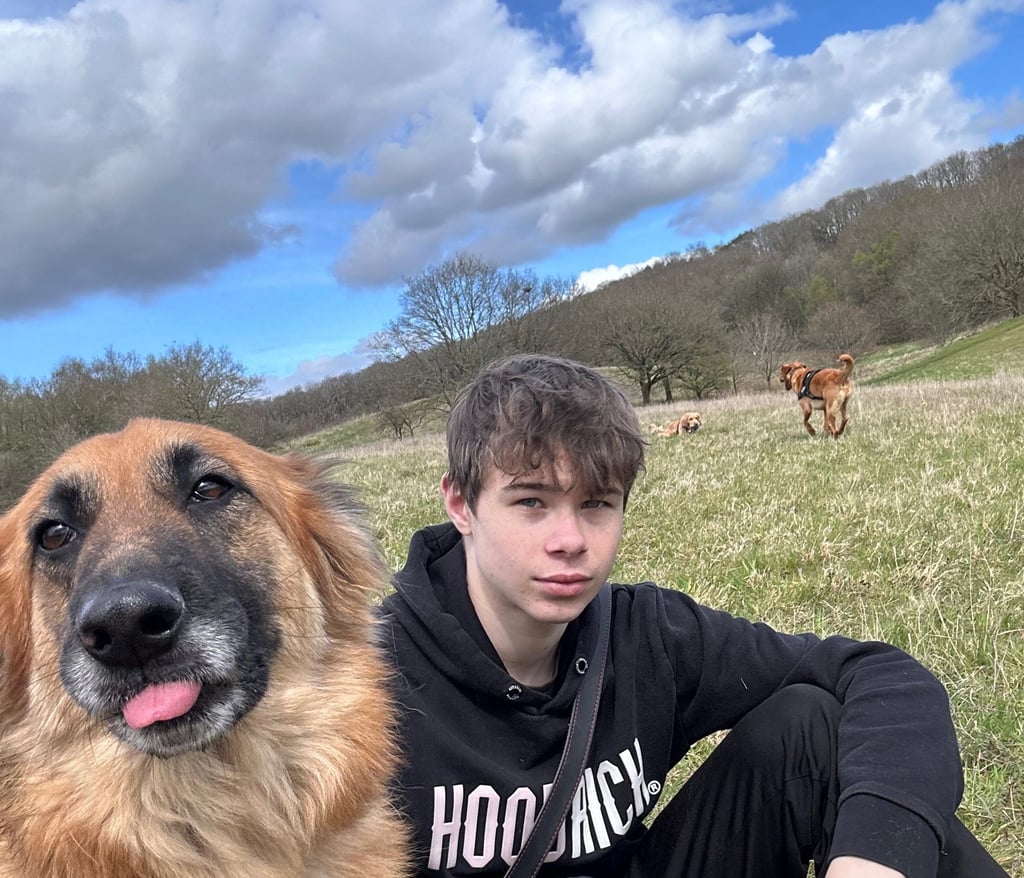 Cheeky German Shepherd with tongue out, sat next to a teenage boy