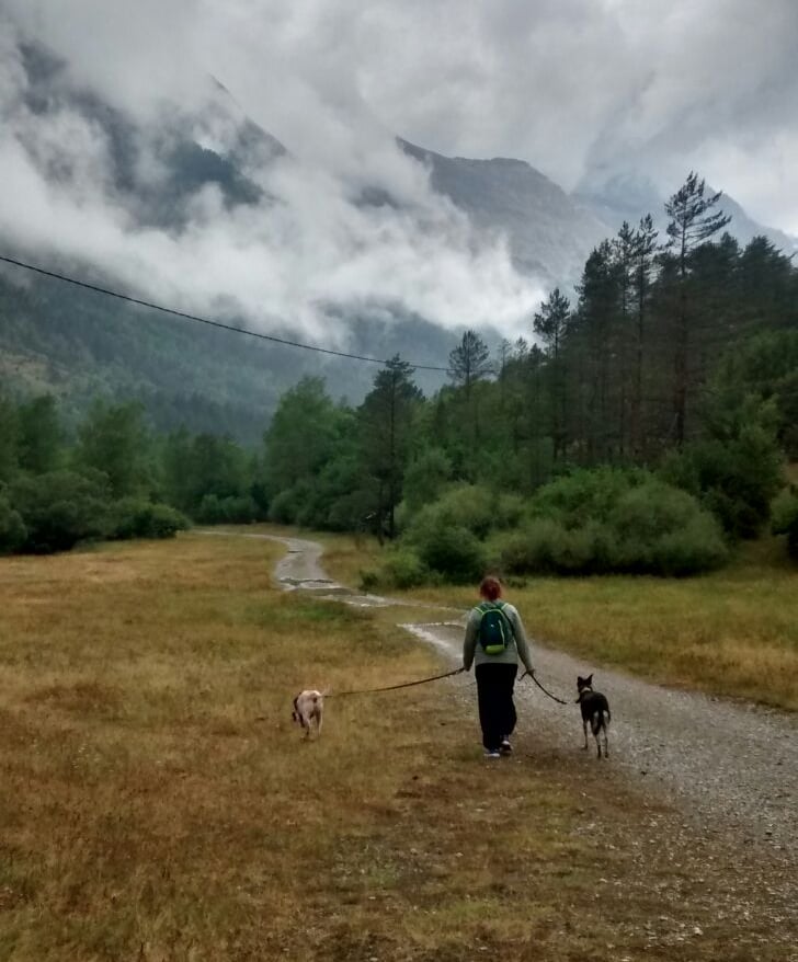 Paseo en la naturaleza con mis perros