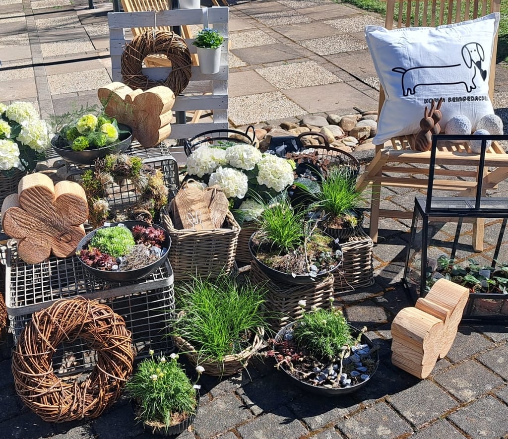 ein paar Pflanzen und ein Stuhl in einem Garten