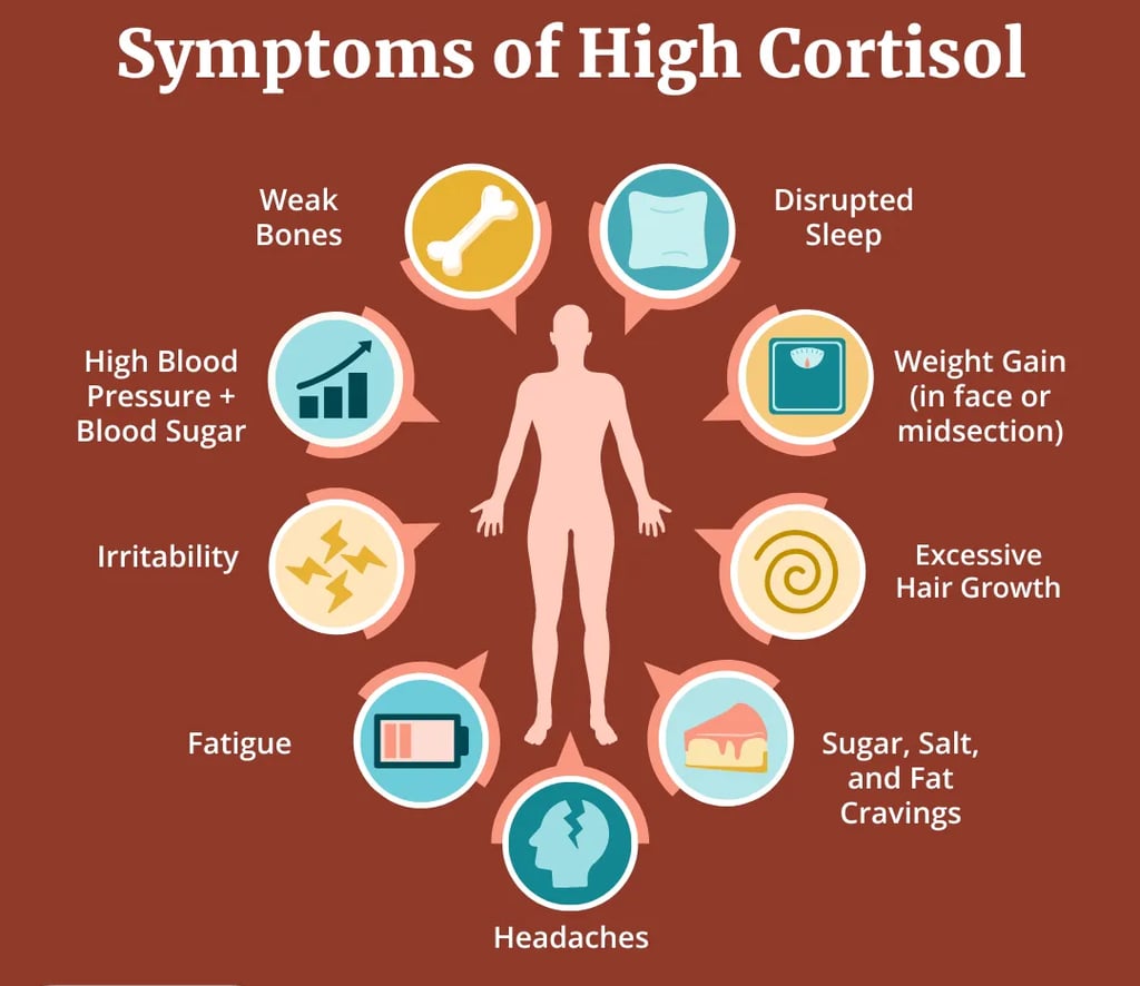 Image showing The Role of Cortisol in Menopause Stress and Weight Gain concept