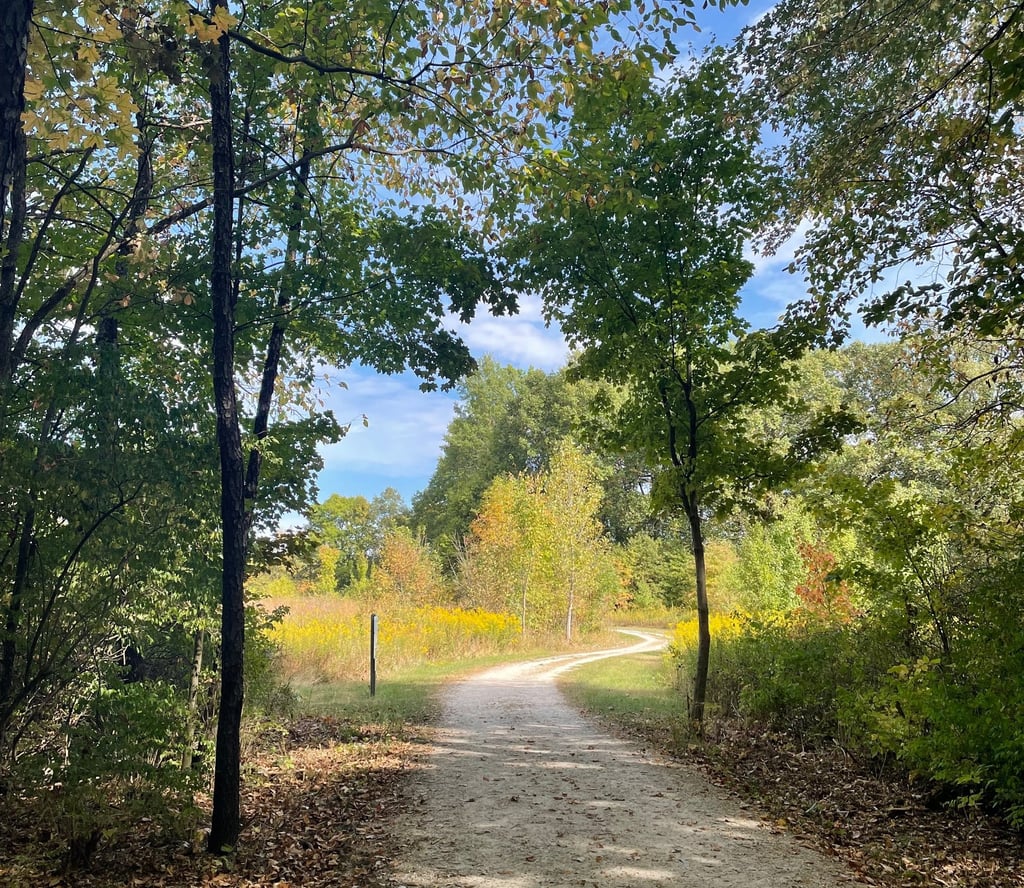 a dirt road with a dirt road and trees