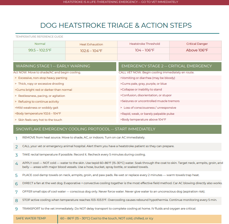 Dog Heatstroke and Actions Steps download