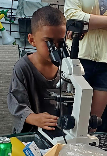 : child using microscope during compost toronto workshops