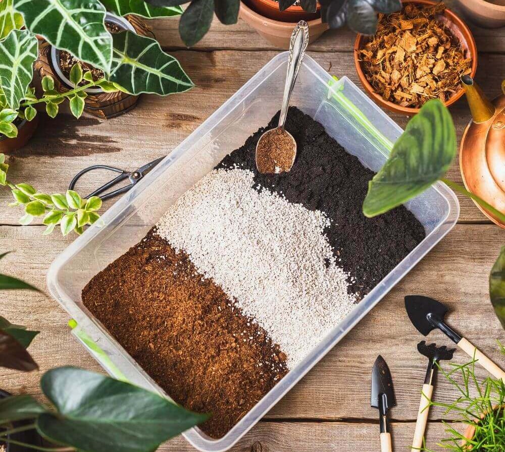 essential soil ingredients for indoor plants including perlite coco coir orchid bark and pumice 