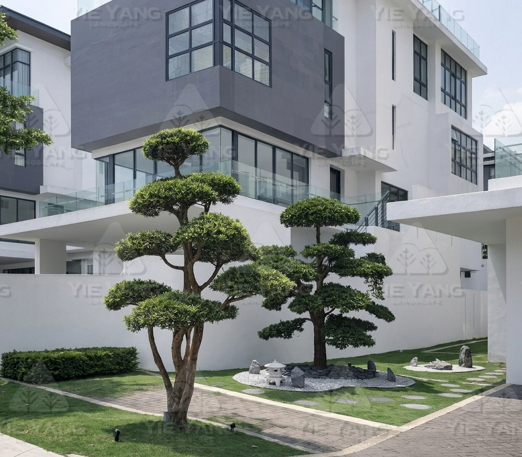 Modern residential landscape design with sculpted garden trees and zen garden by Yie Yang Landscape