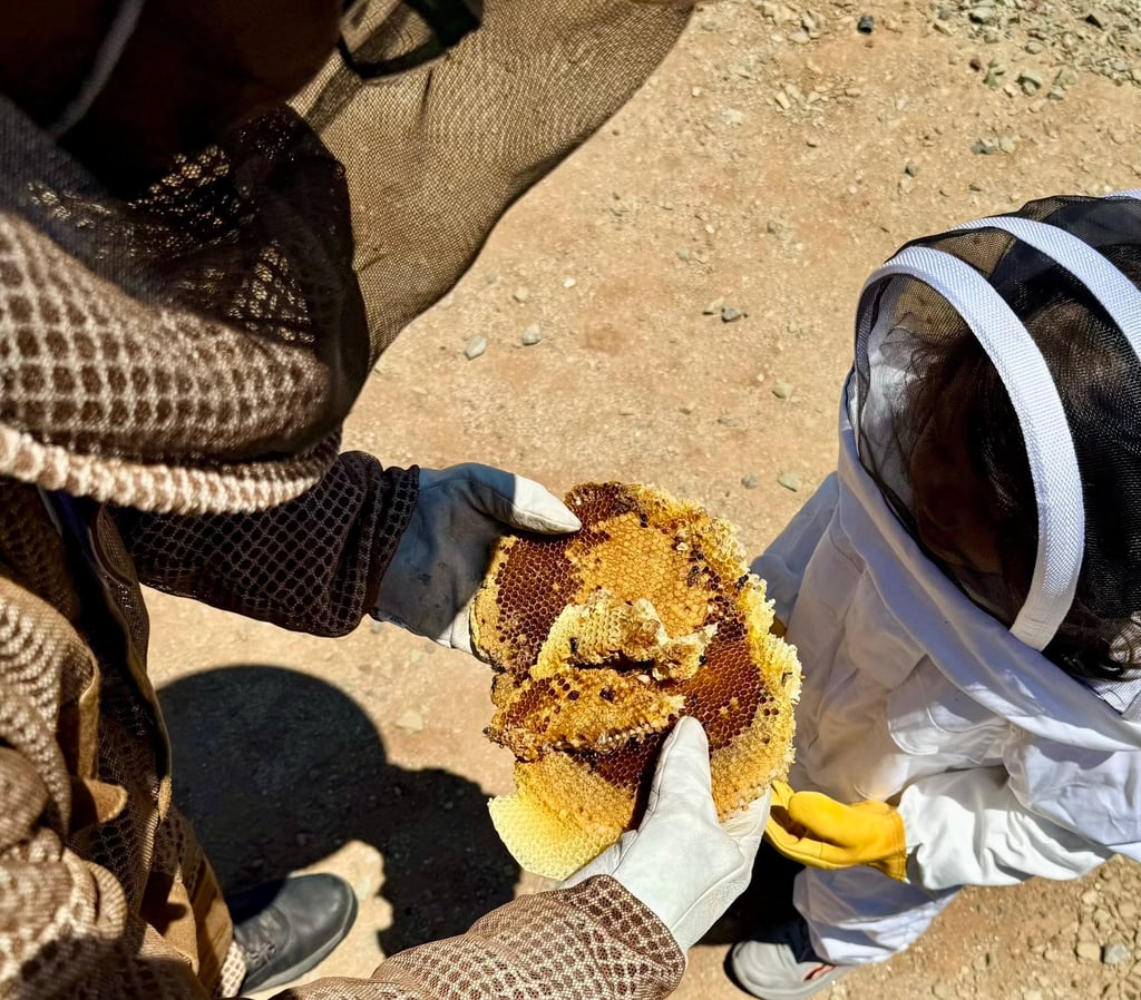 Bee treatment honeycomb removal in Menifee CA Footprint Pest Management