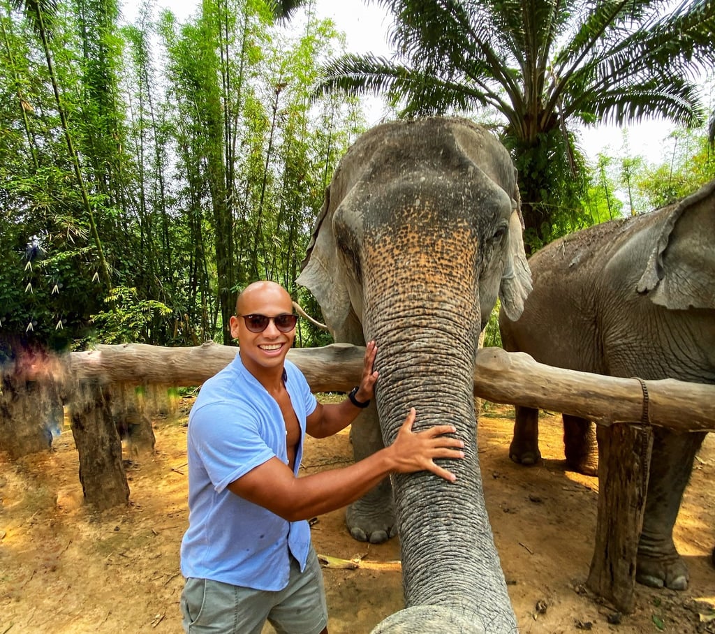 Carinho no elefante em um santuário ético na Tailândia