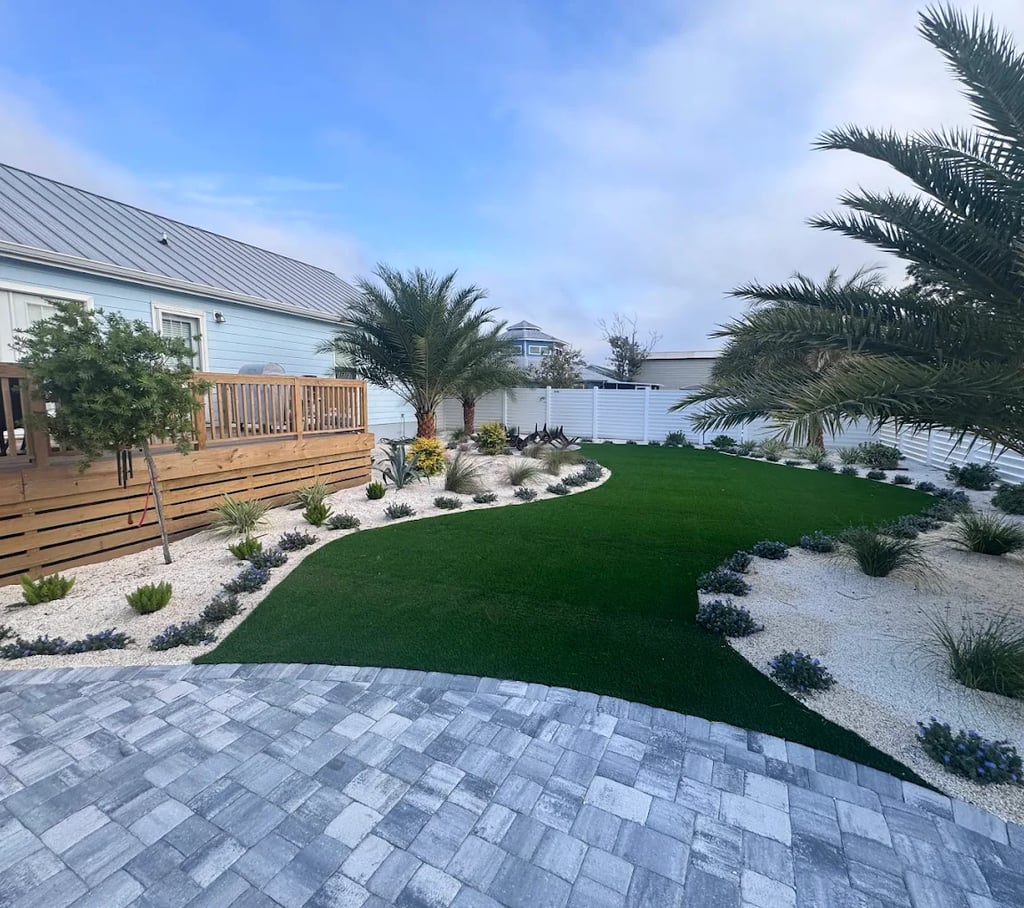 house with palm trees