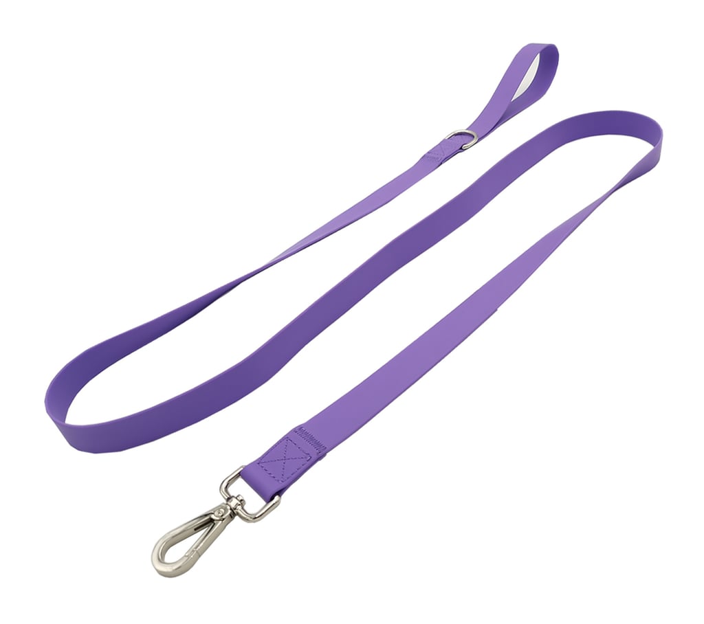 Dog Leash