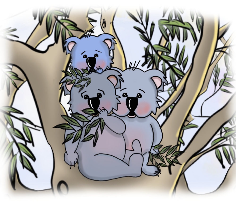 Koalas eating juicy green leaves from the bear rhymes little bear meets the voice in the cave book