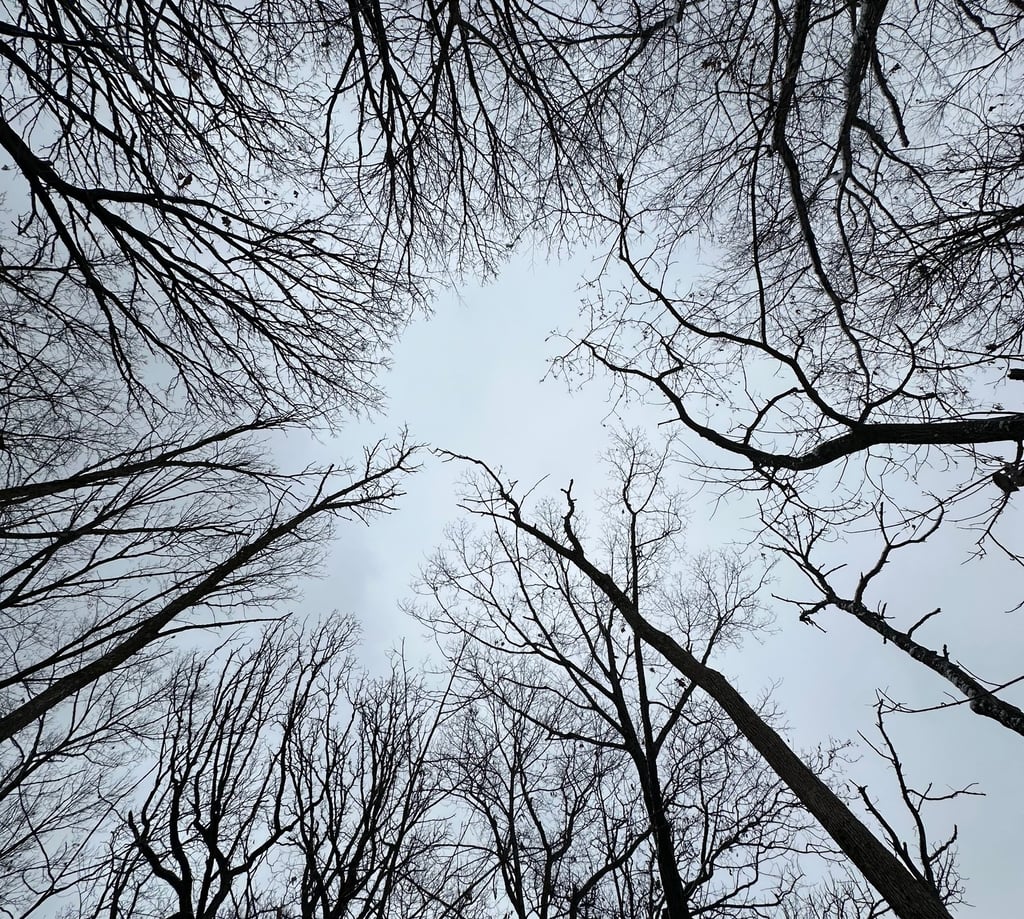 Nature Divine Peace