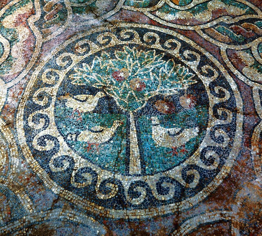 Ancient Roman floor mosaic featuring a detailed tree of life and birds within a circular border.