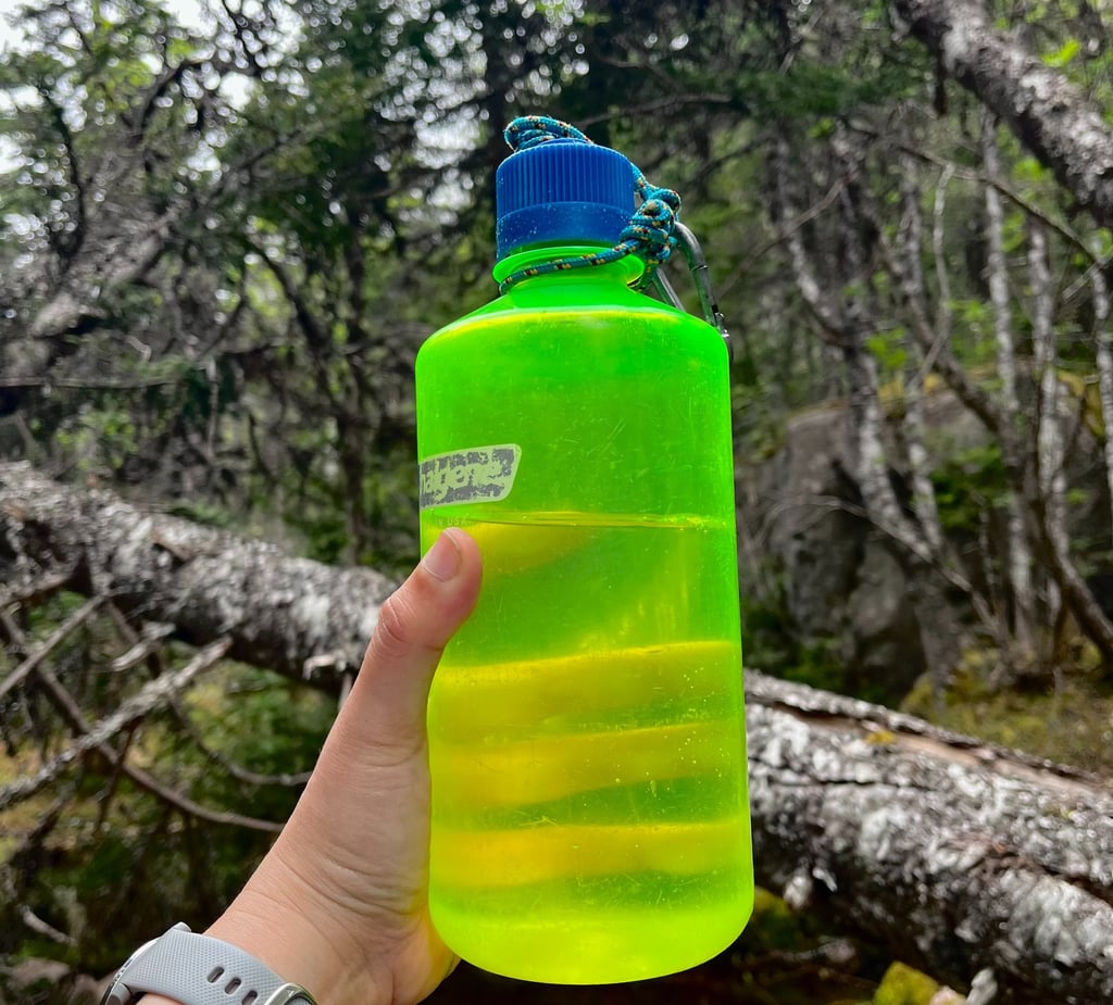 Hand holding a bright green Nalgene bottle in a forest setting with mossy rocks and trees in the bac