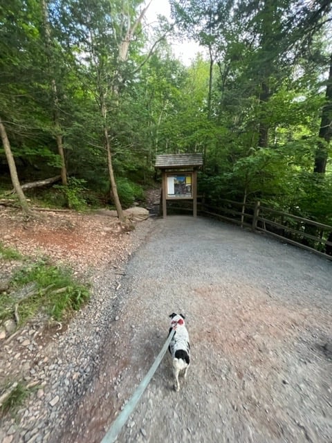 Katterskill falls Catskill New York