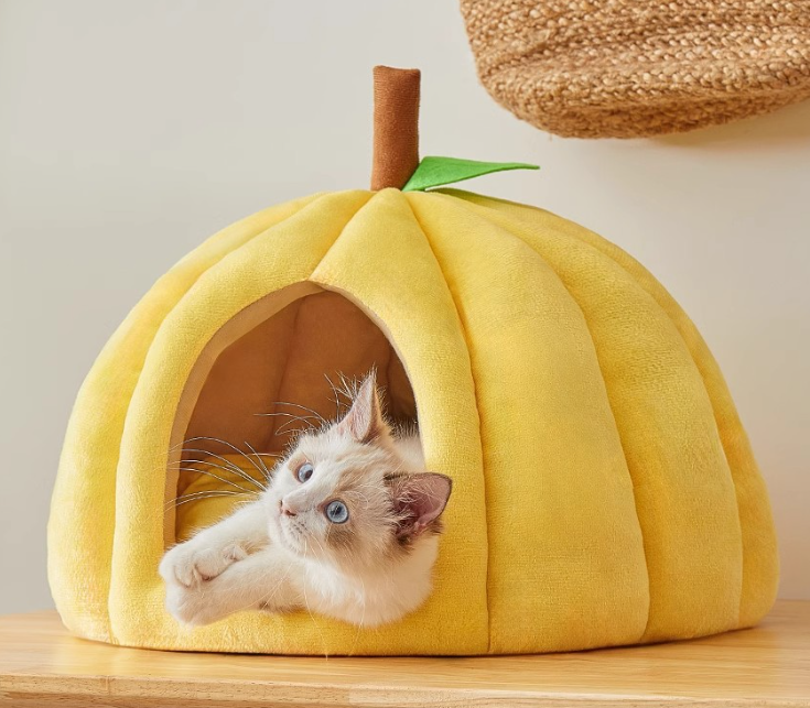 Cat Hut