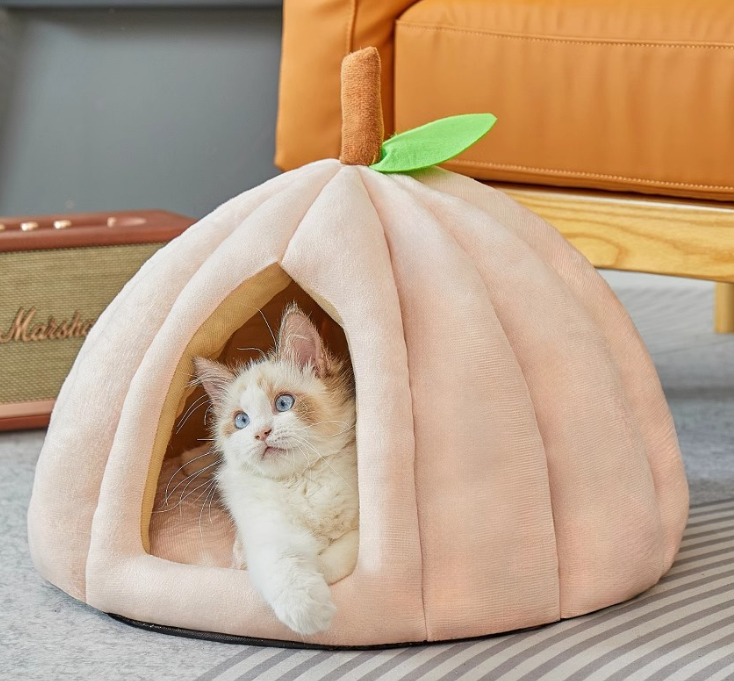 Cat Hut