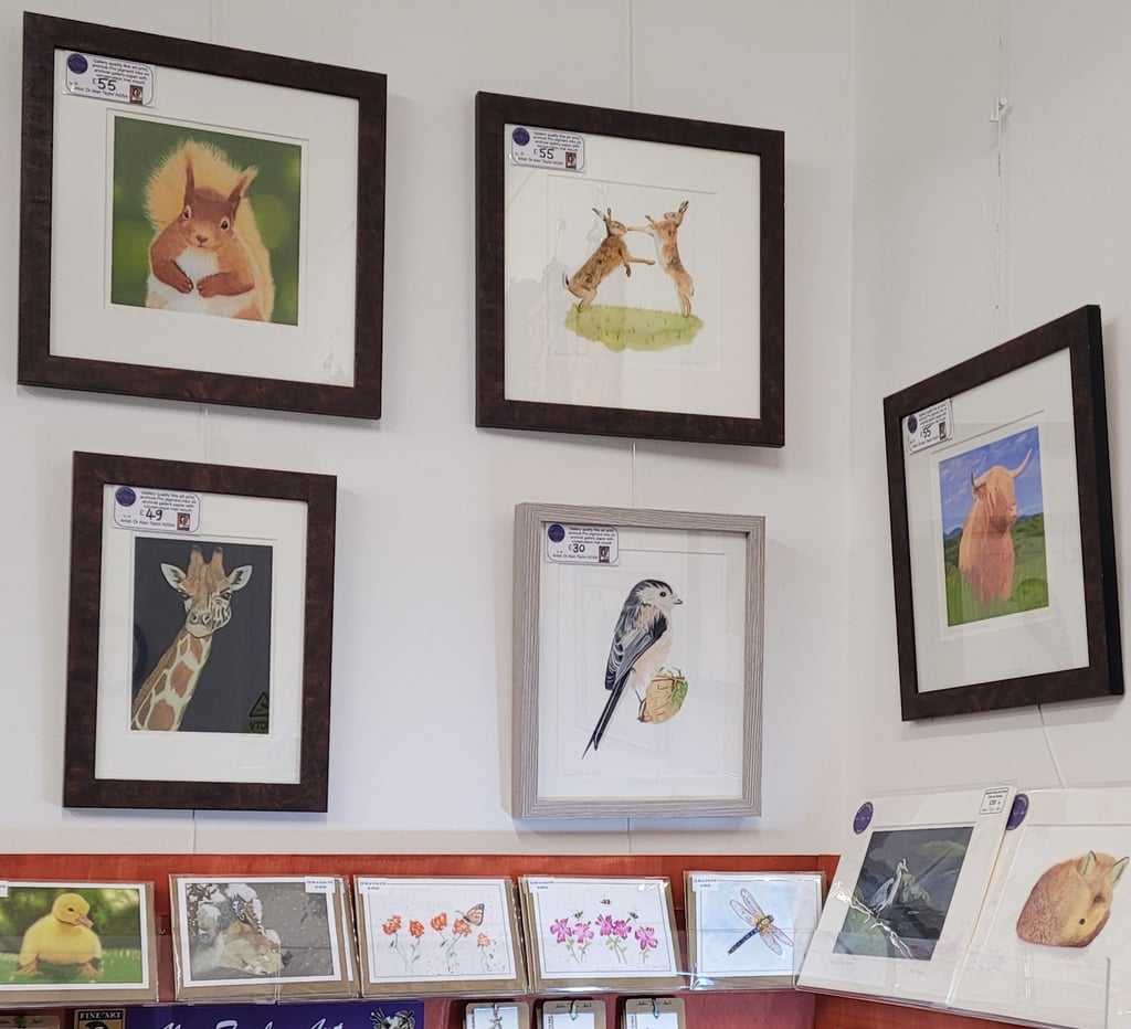 Framed wildlife art by Alan Taylor Art