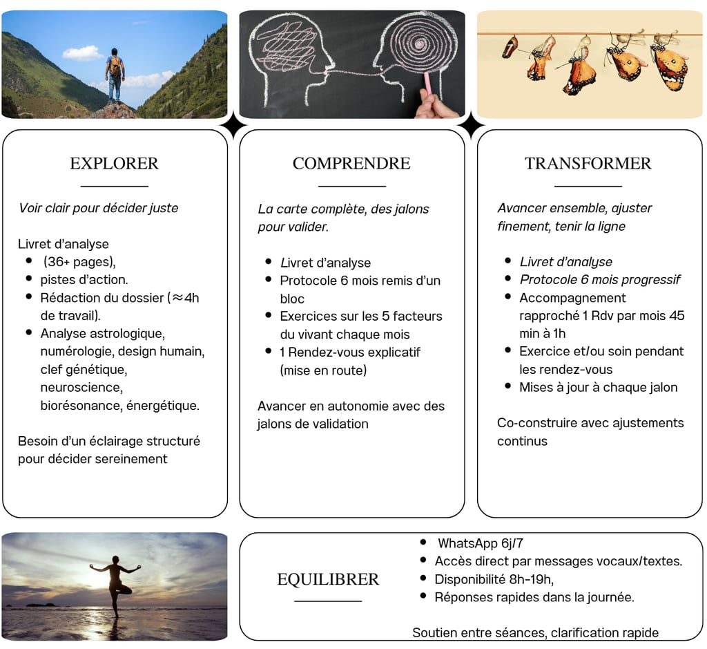 protocole thérapeute pleine santé