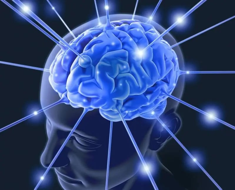 Human Mind