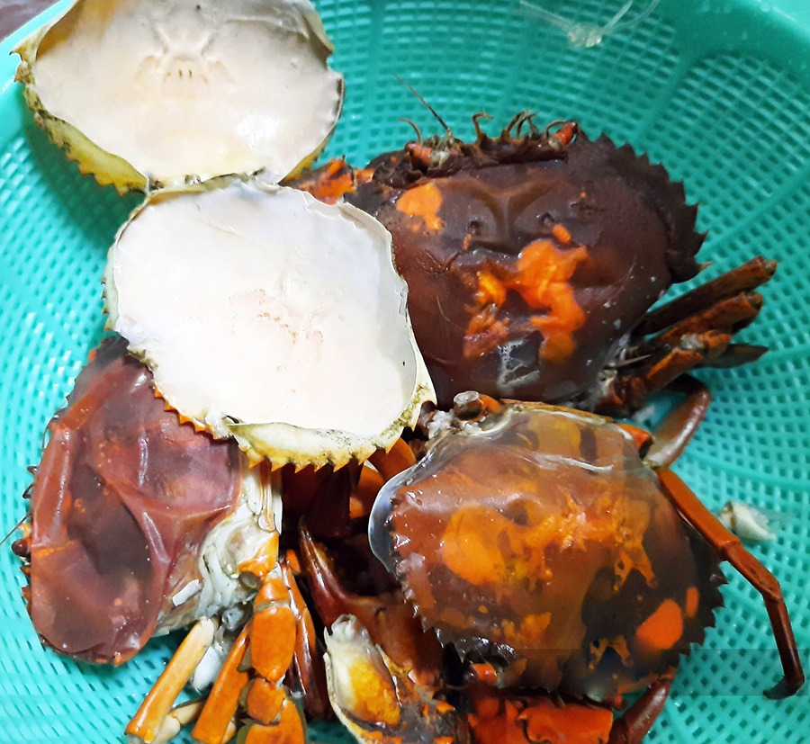 double skinned crabs