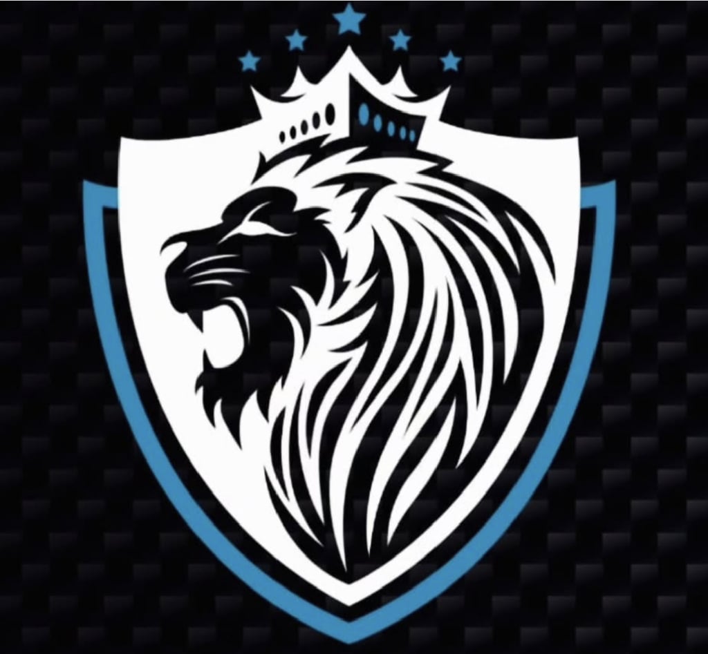 logo professionnel de seyf sécurité service de sécurité en Bretagne