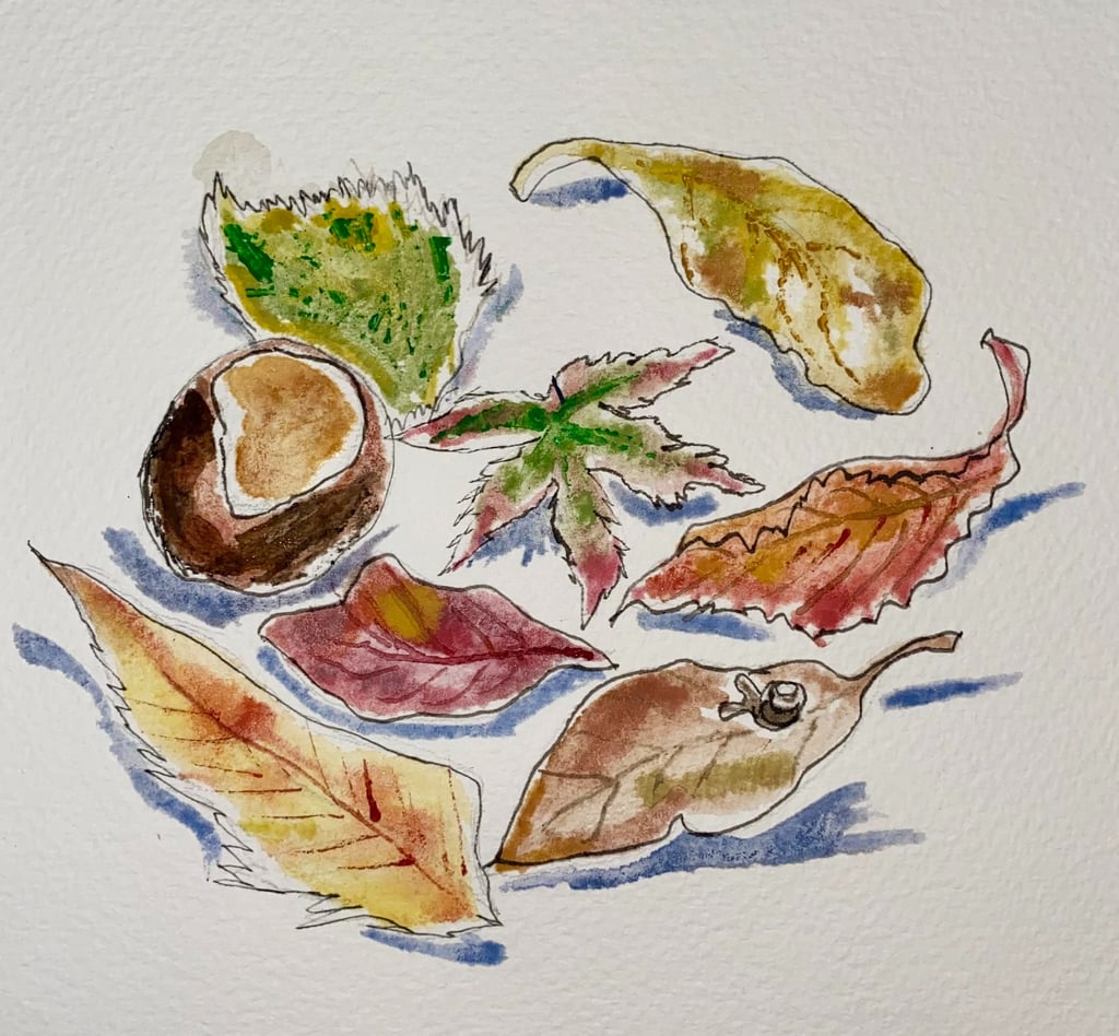 A painting of a collection of autumn leaves and a conker, with a tiny snail on one leaf.